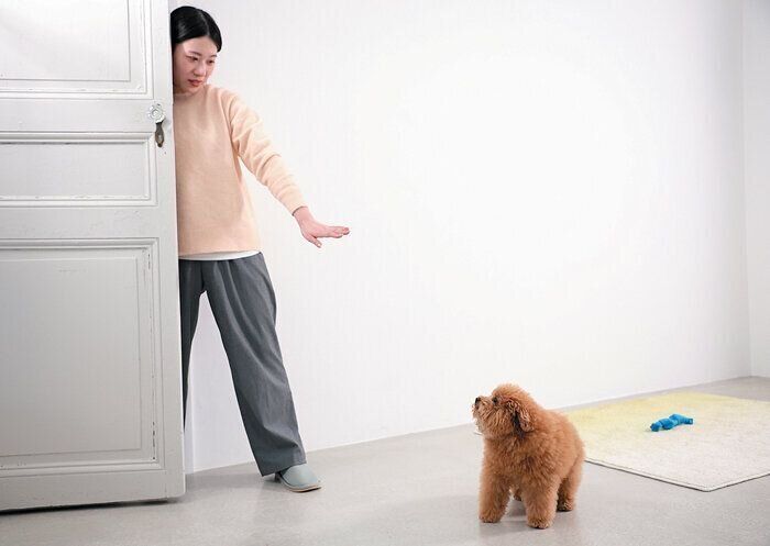 チャイム対応のときに愛犬を落ち着かせる飼い主