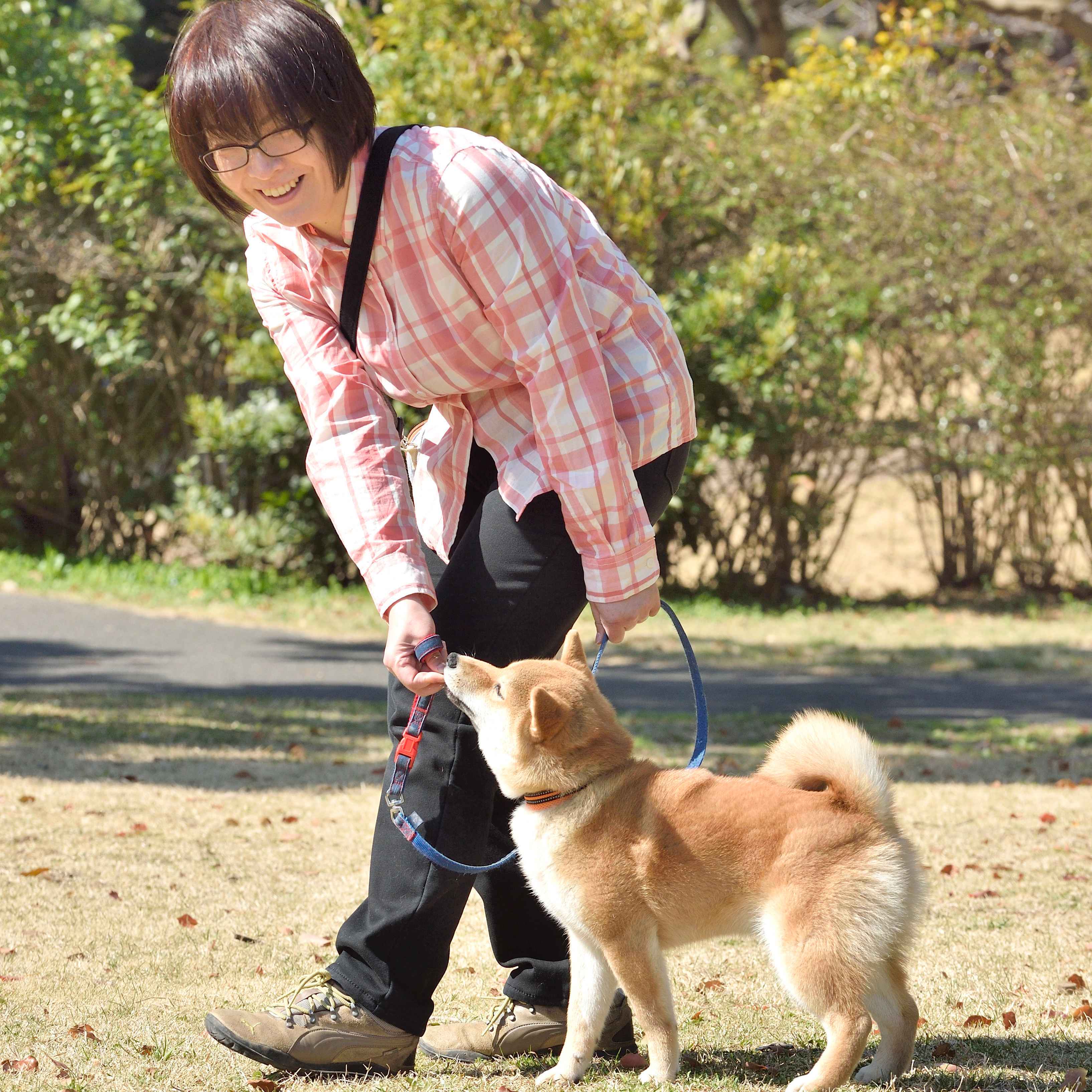 「いぬのきもち」2018年6月号