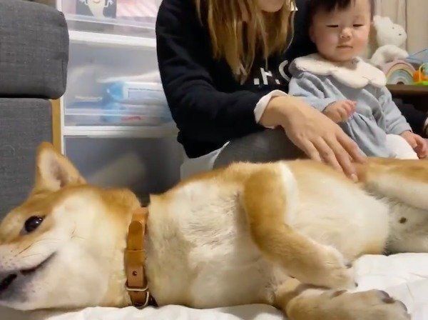 撫で加減をチェックするりんご郎くん