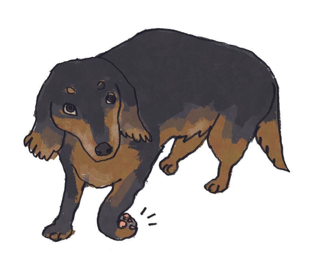 イラスト／五嶋直美