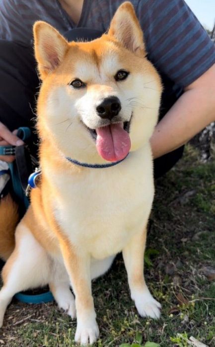 にこにこ笑顔のふぅこちゃん