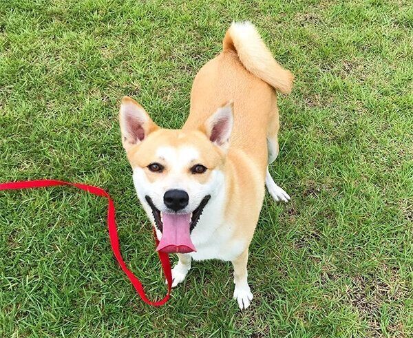 笑顔のくるみちゃん