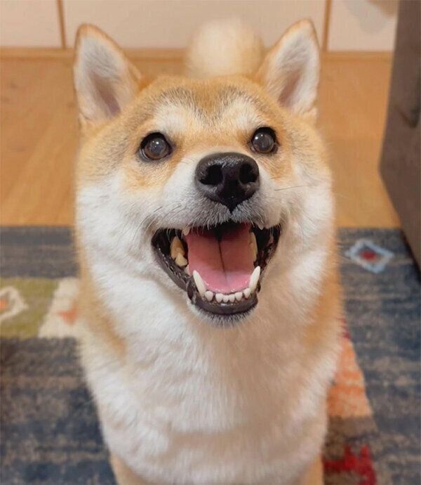 笑顔のユクちゃん