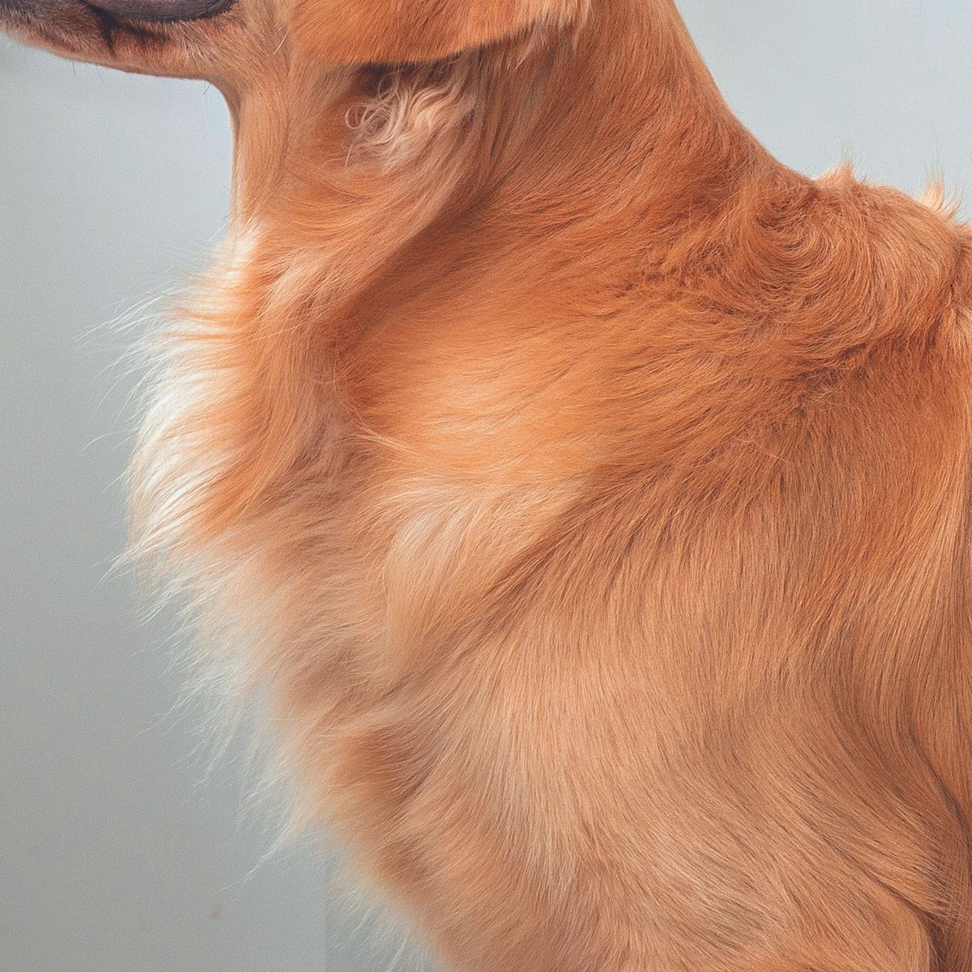 撮影／伊東武志