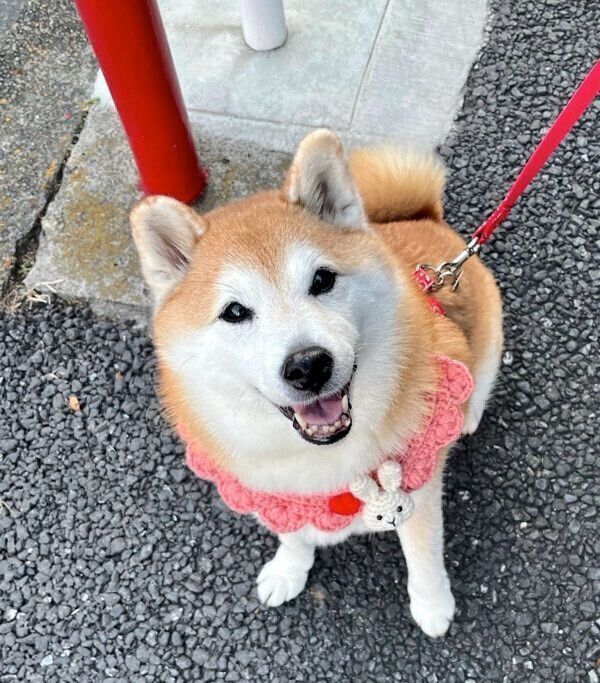 笑顔が可愛いまるちゃん