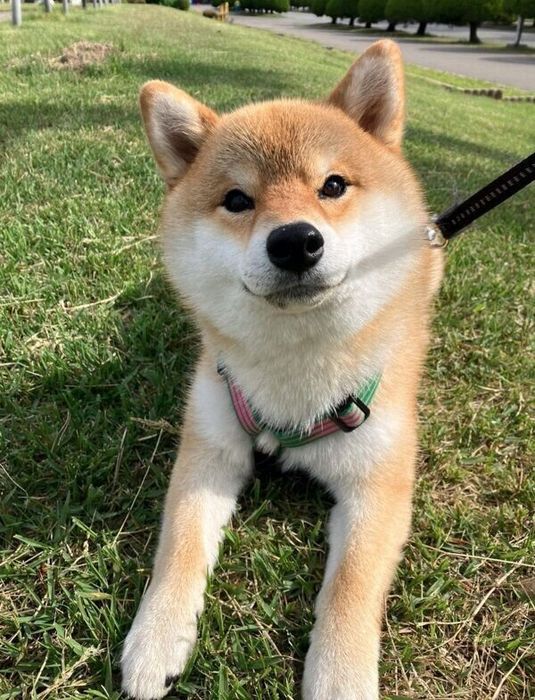 成長したマヤちゃん