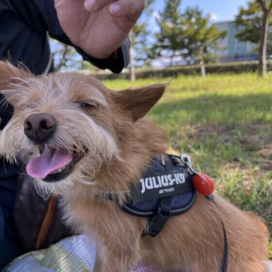 デレデレした顔になるＭｉｘのくるみちゃん