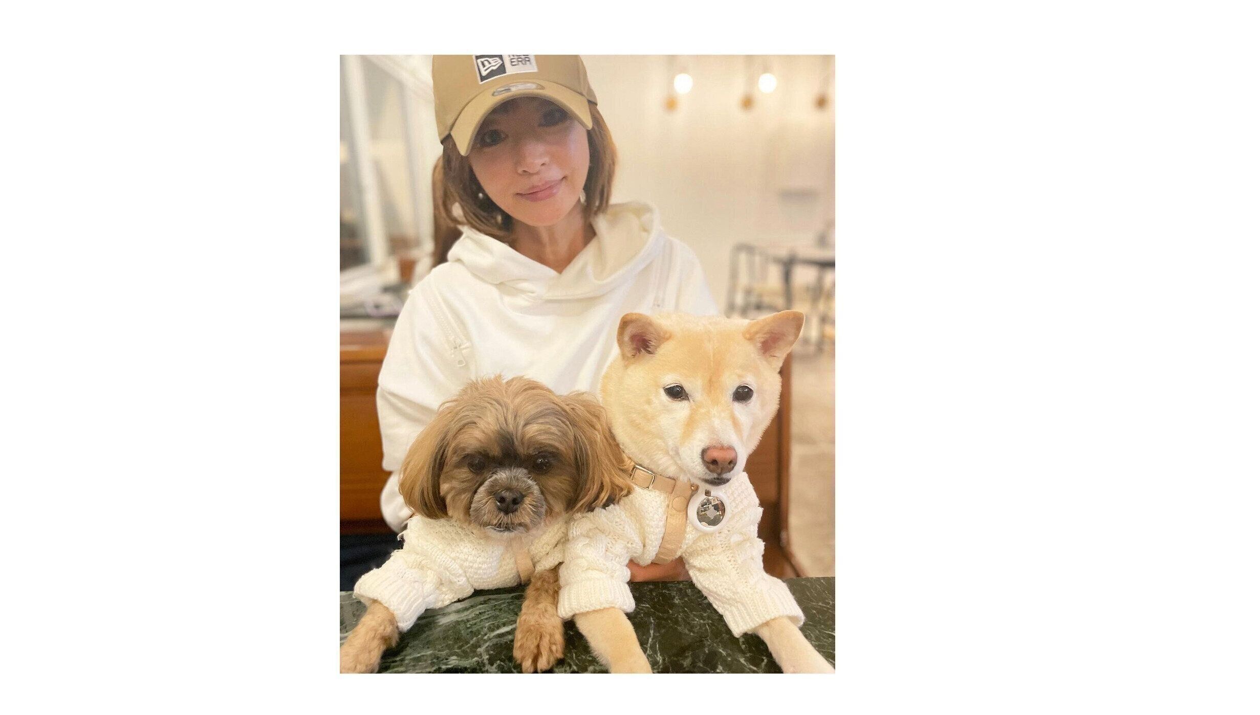 小型犬 豆柴エマちゃん シープーウニちゃん