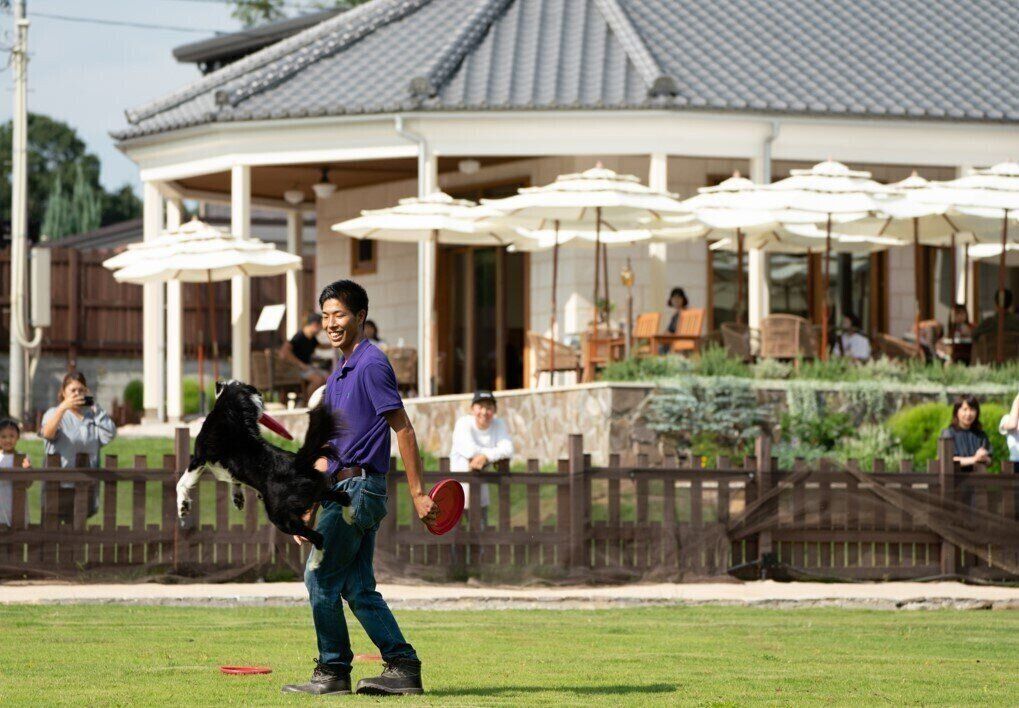 ドッグランで遊ぶ犬と飼い主