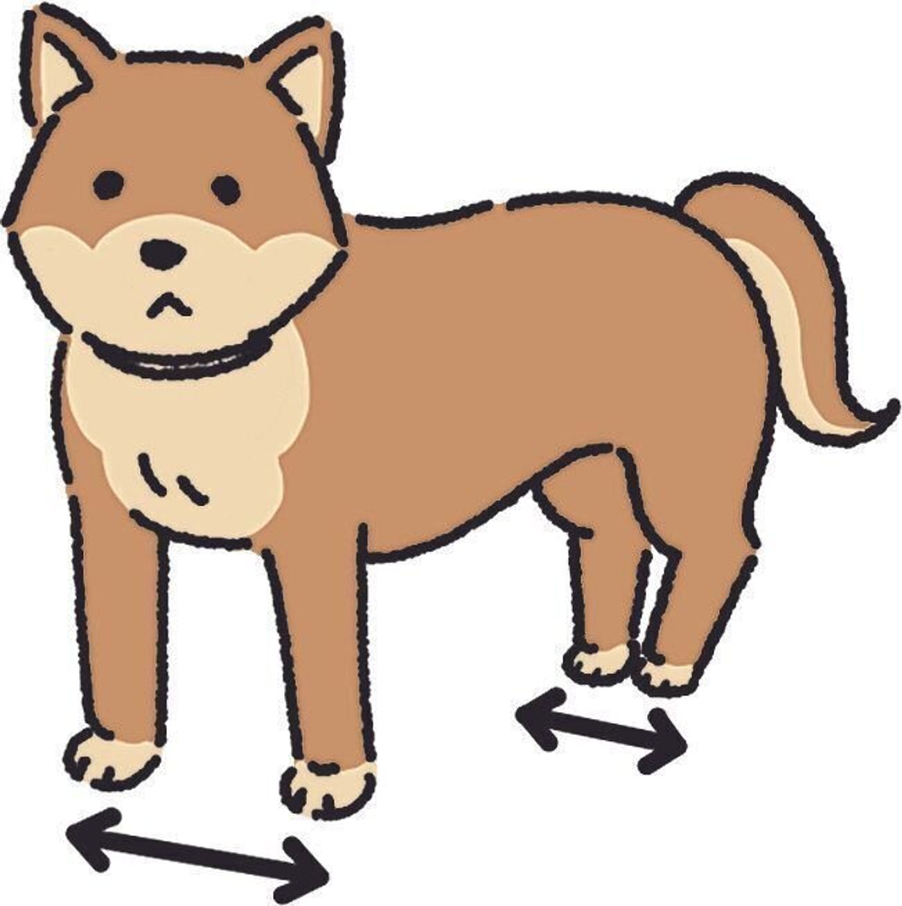 犬のかわいいポーズ もしかしたら病気のサインかも 要注意な 姿勢 をチェックしよう いぬのきもちweb Magazine 犬のかわいいポーズ もしかしたら病気のサインかも 要注意な 姿勢 をチェックしよう いぬのきもちweb Magazine