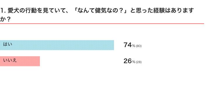 いぬのきもちWEB MAGAZINE『「犬飼いあるある」に関するアンケートvol.21』　109件の回答