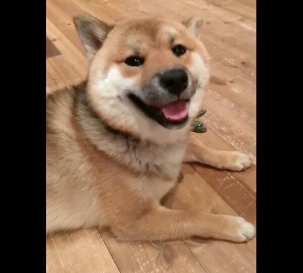 微笑むおにぎりくん