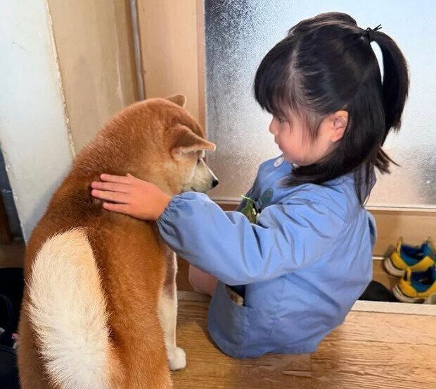 幼稚園に行く娘さんを見送るまるこちゃん