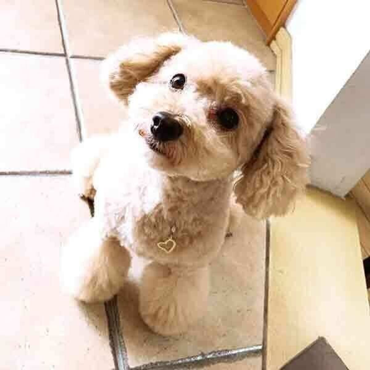 Xifjfc2eqiehkm Xifjfc2eqiehkm