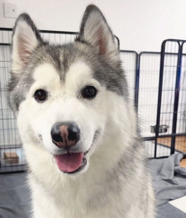 笑顔が可愛い煉くん