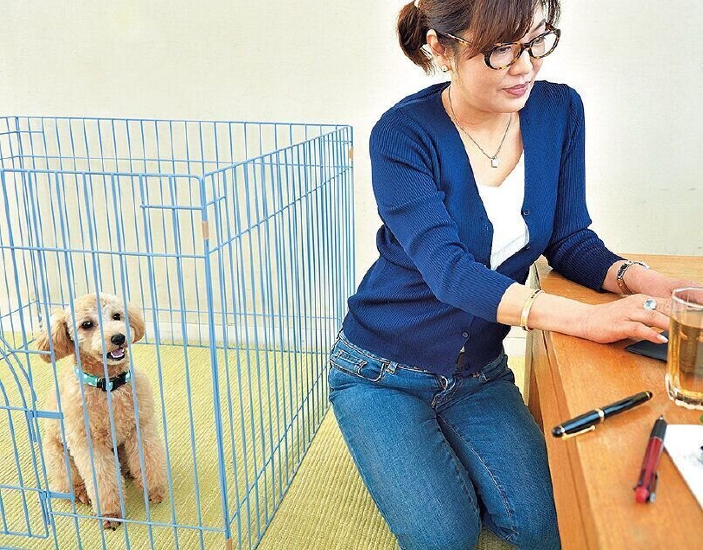犬の噛みを悪化させる 愛犬に噛まれたときにしてはいけない対応 いぬのきもちweb Magazine 犬の噛みを悪化させる 愛犬に噛まれたときにしてはいけない対応 いぬのきもちweb Magazine