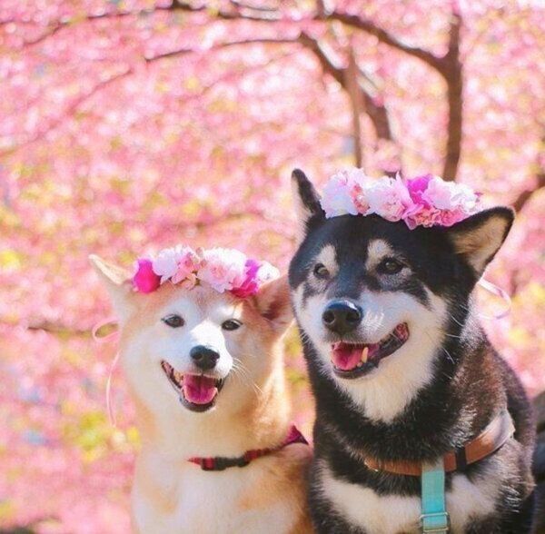 笑顔のゆりあちゃん、けんしろうくん