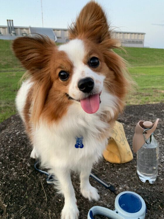 笑顔の小太郎くん