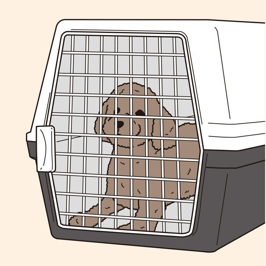 日中も在宅していて愛犬の様子を見ていられる場合は、健康な成犬なら３時間、子犬なら90分を目安に休ませるのが理想です