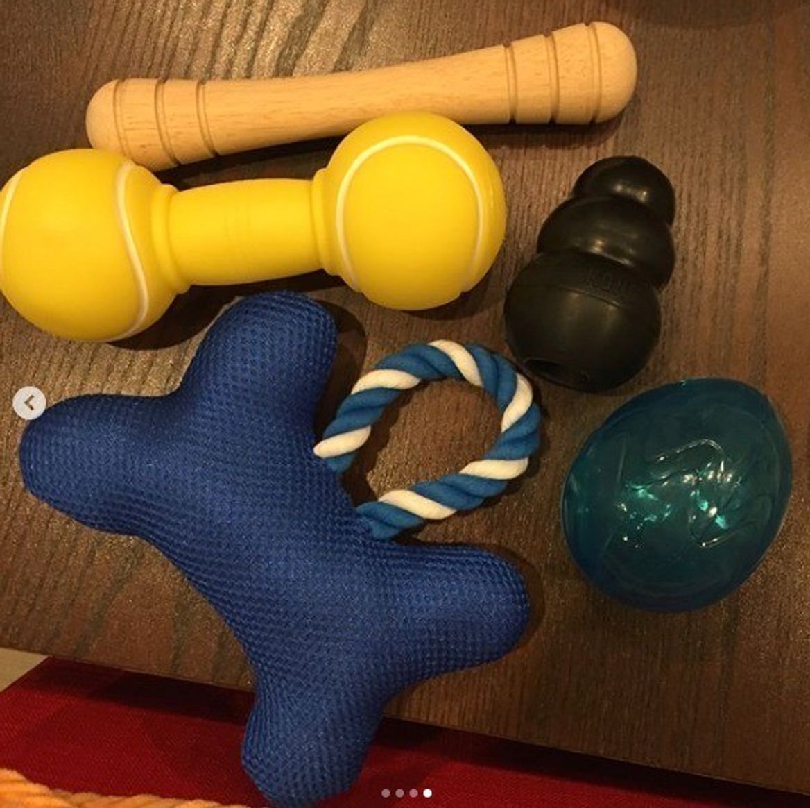 犬だって100円ショップがお気に入り 楽しいおもちゃで遊ぼう いぬのきもちweb Magazine 犬だって100円ショップがお気に入り 楽しいおもちゃで遊ぼう いぬのきもちweb Magazine