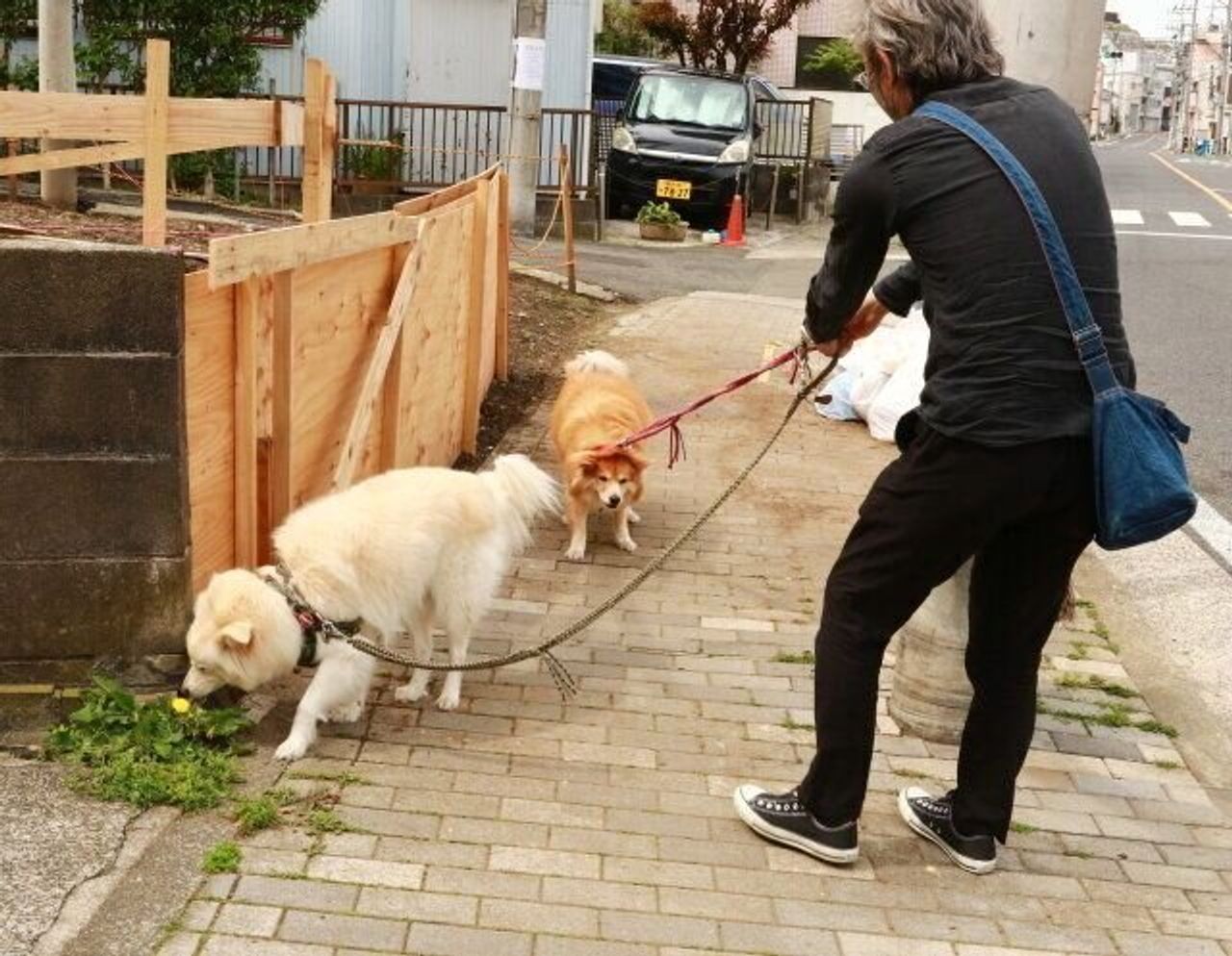 どんなに動物病院が嫌いでも 穴澤賢の犬のはなし いぬのきもちweb Magazine どんなに動物病院が嫌いでも 穴澤賢の犬のはなし いぬのきもちweb Magazine