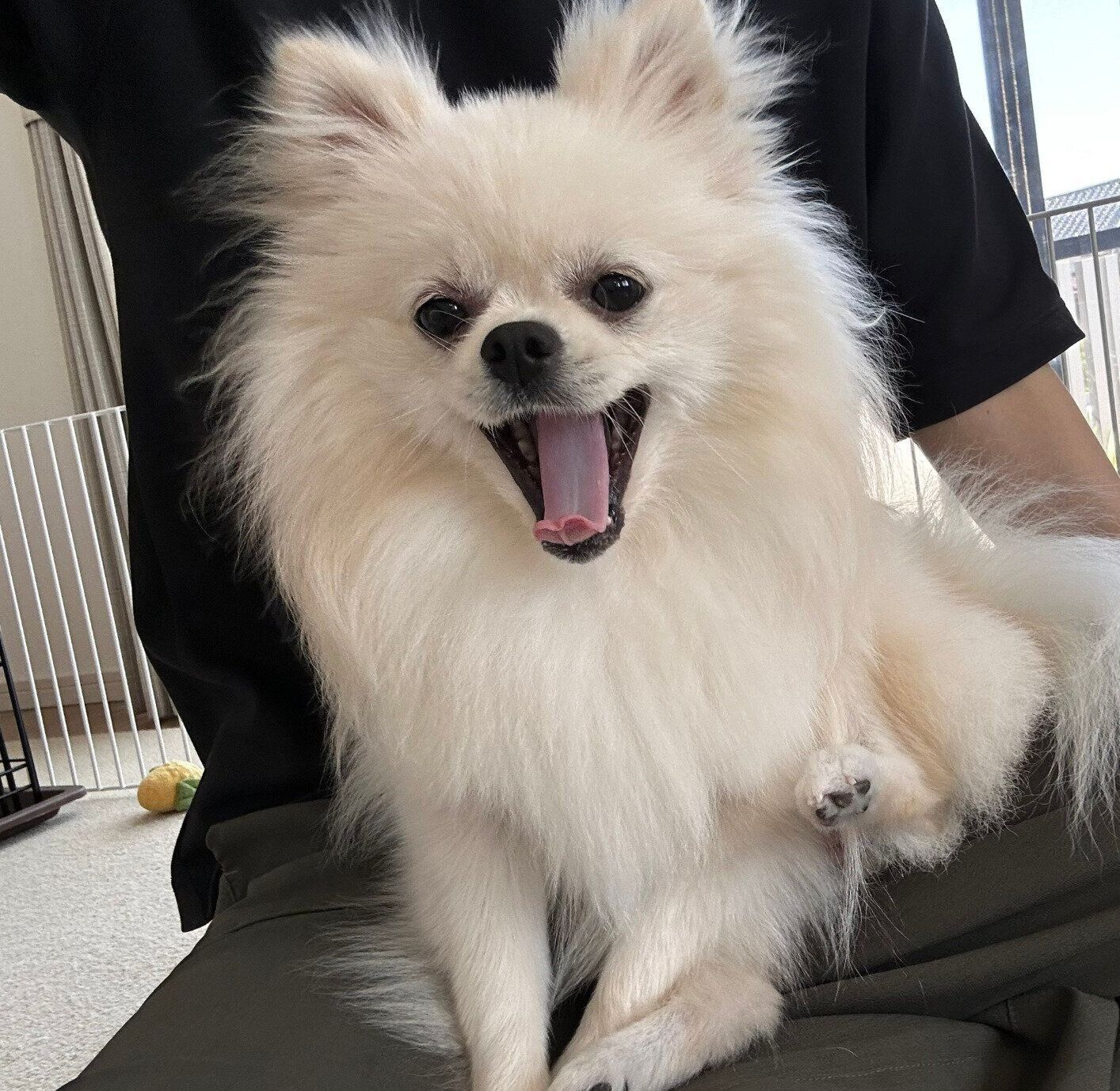 1才になったおろちちゃん