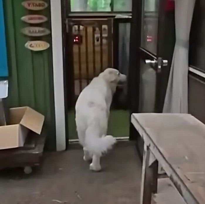 おやつにつられるリリーちゃん
