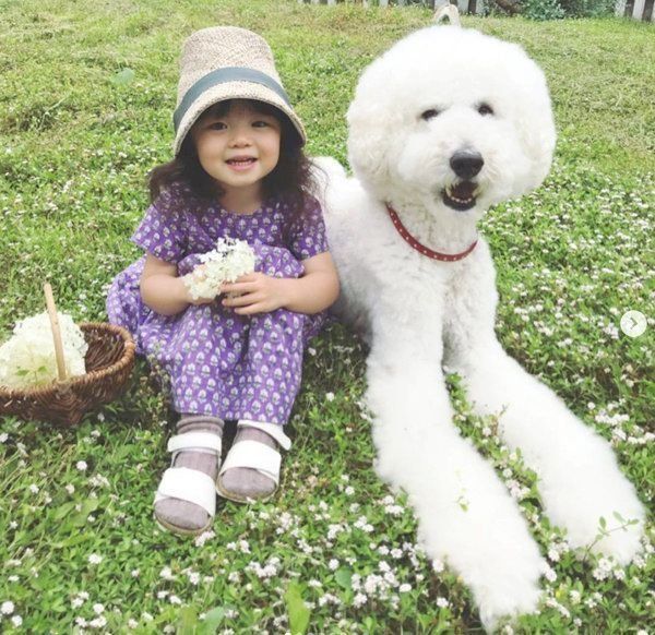 仲良しなスタンダード・プードルと女の子