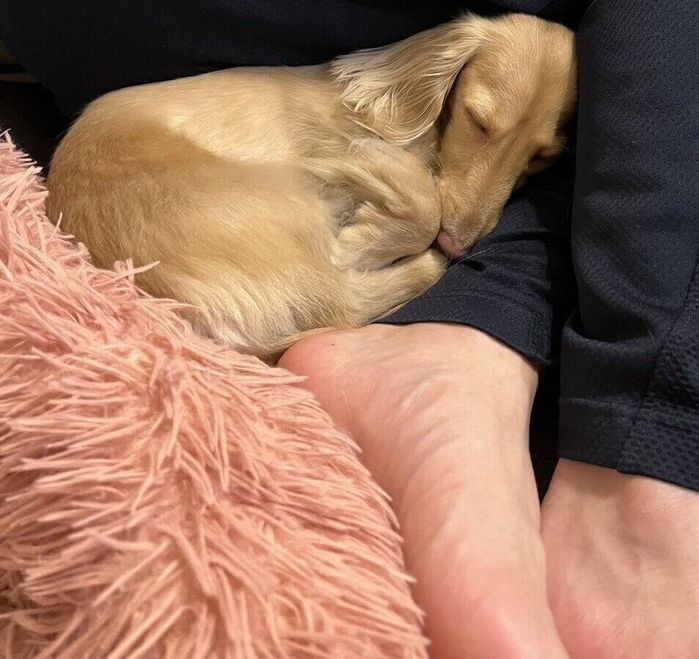 スヤスヤ眠るちゃちゃちゃん