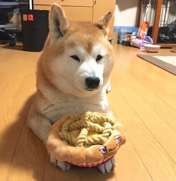 おもちゃを抱えるロペさん