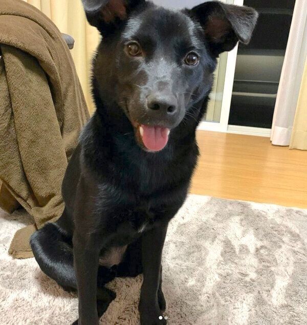 笑顔のはなちゃん