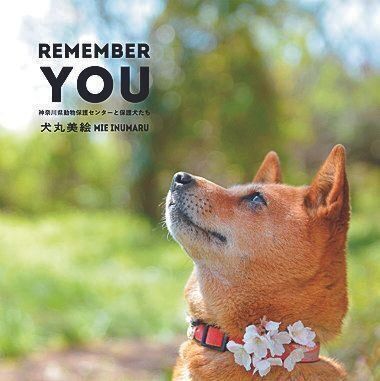 センターの写真集。版元のドキュメンタリー最優秀賞を受賞。センターでは不定期で、犬丸さんの作品が飾られています