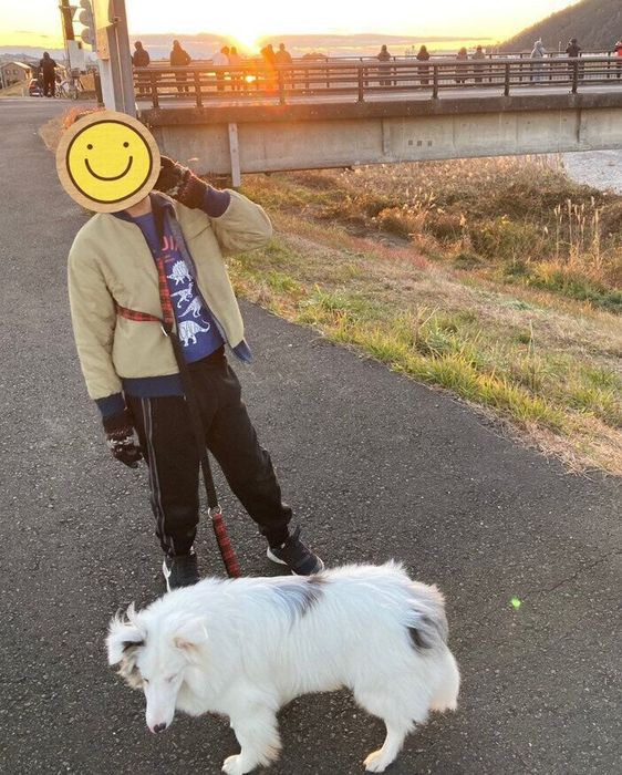 家族と初日の出を見に行く犬