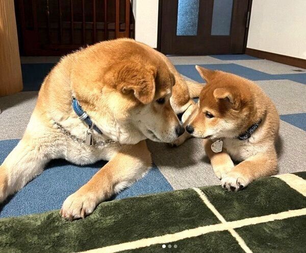 寄り添う天征くんと空征くん