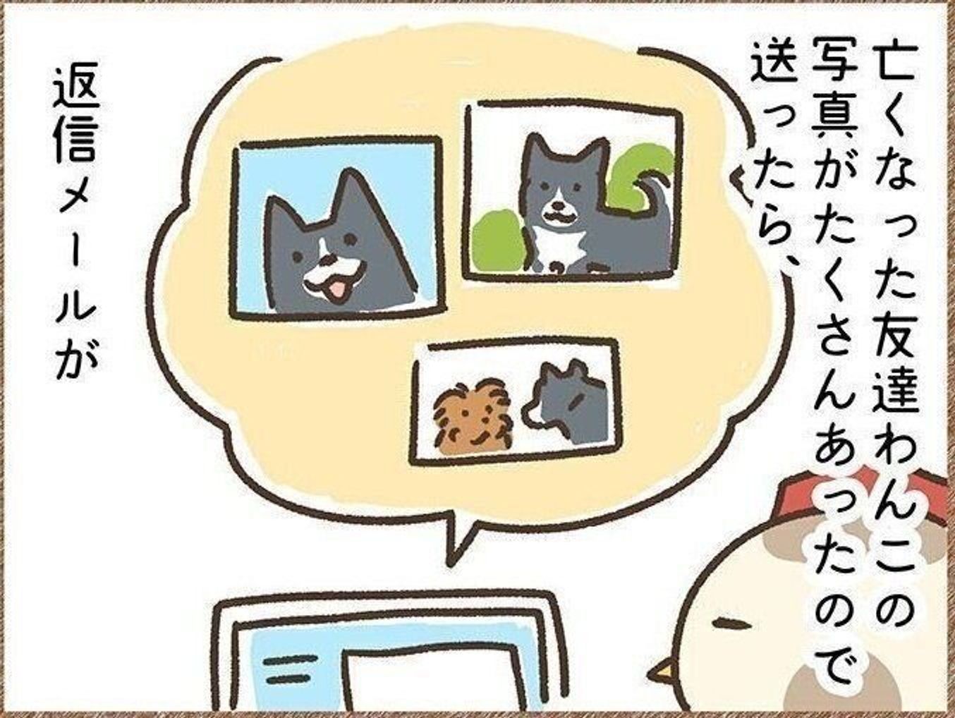 亡くなった友達ワンコ 飼い主さんが語った虹のお話 連載 こぐま犬てんすけ Vol 84 いぬのきもちweb Magazine 亡くなった友達ワンコ 飼い主さんが語った虹のお話 連載 こぐま犬てんすけ Vol 84 いぬのきもちweb Magazine