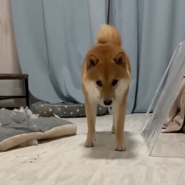 名前を呼ばれたふう太くん