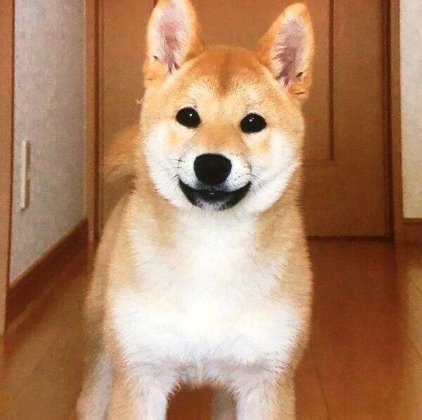 生後4カ月頃のロペさん