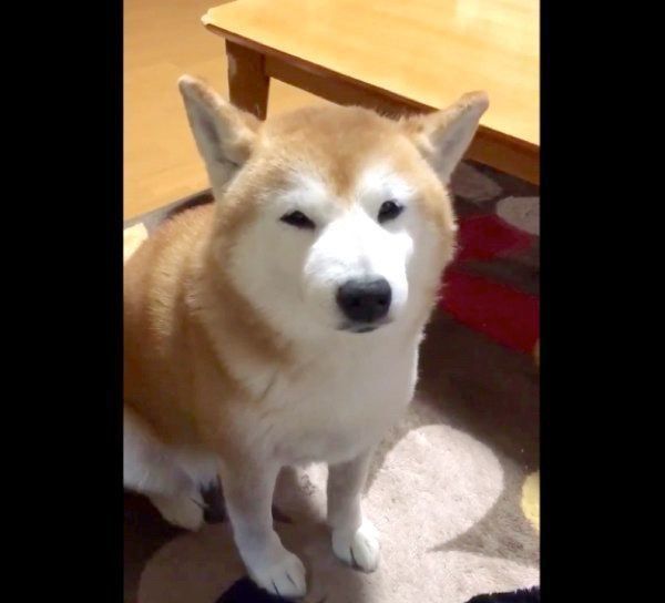 エアコンを見つめるロペさん