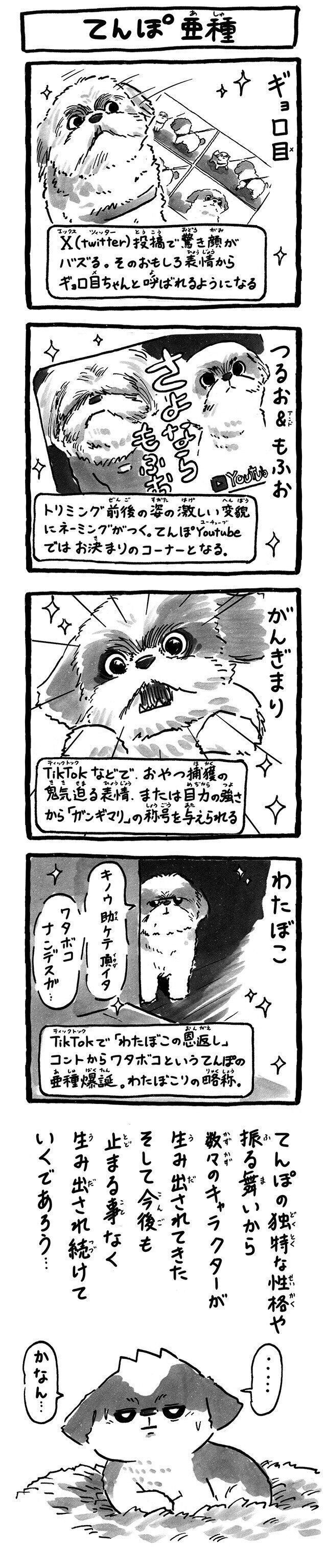 シーズー犬マンガてんぽshihtzu