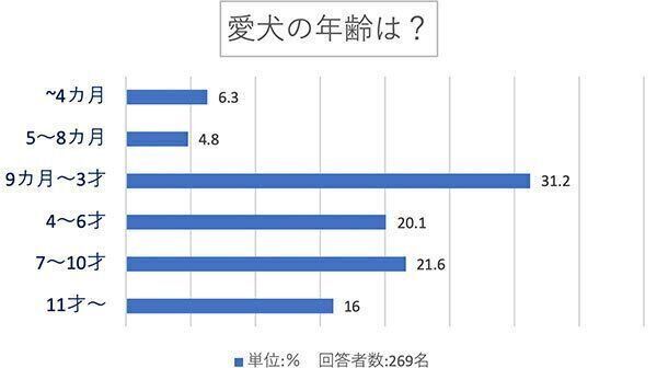 愛犬の年齢は?