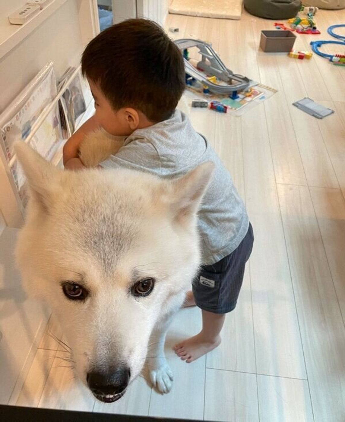 雷が怖くて震える犬に ぴったりくっつく2才の男の子 おにーわんは ボクが守る な姿が愛おしすぎる いぬのきもちweb Magazine 雷が怖くて震える犬に ぴったりくっつく2才の男の子 おにーわんは ボクが守る な姿が愛おしすぎる いぬのきもちweb Magazine