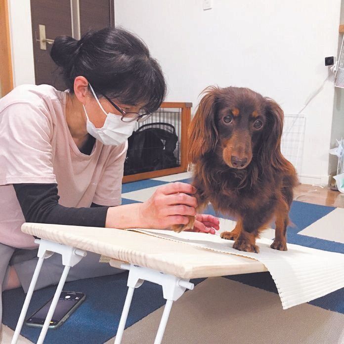 アグリの預かりボラでリハビリなどの資格をもつTさん。アイデアを駆使したリハビリ法により、症状は劇的に改善