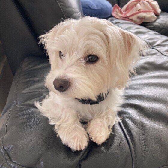 Mixのクレムくん♪