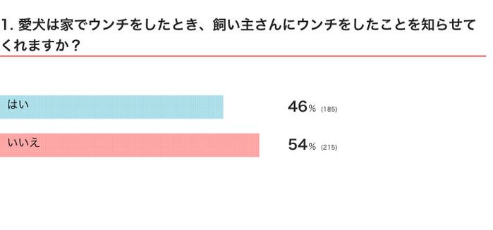 愛犬は家でウンチをしたとき、飼い主さんにウンチをしたことを知らせてくれる?