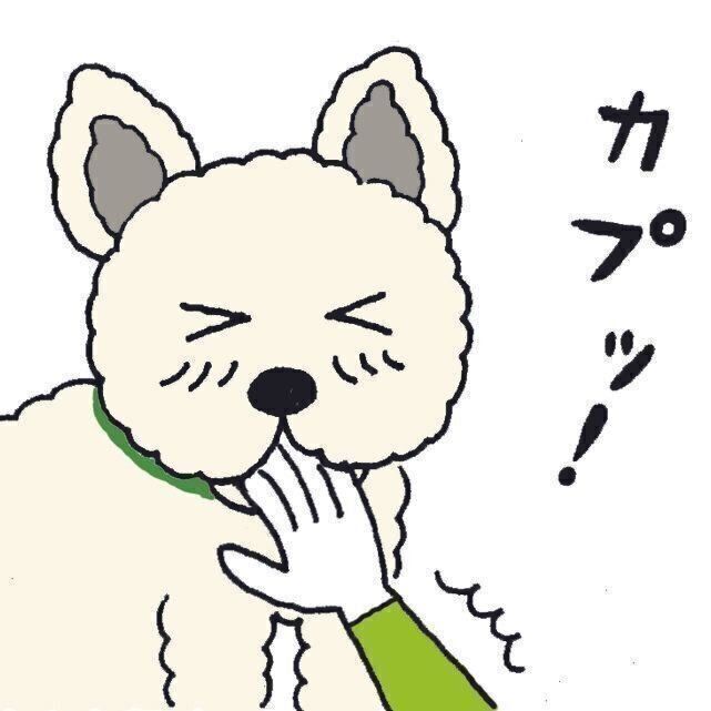 イラスト／サノマキコ