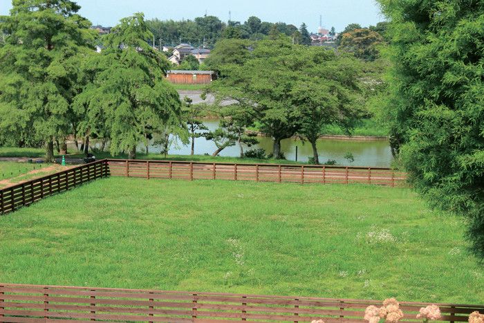 東京　あきる野市　Wonderful Nature Village