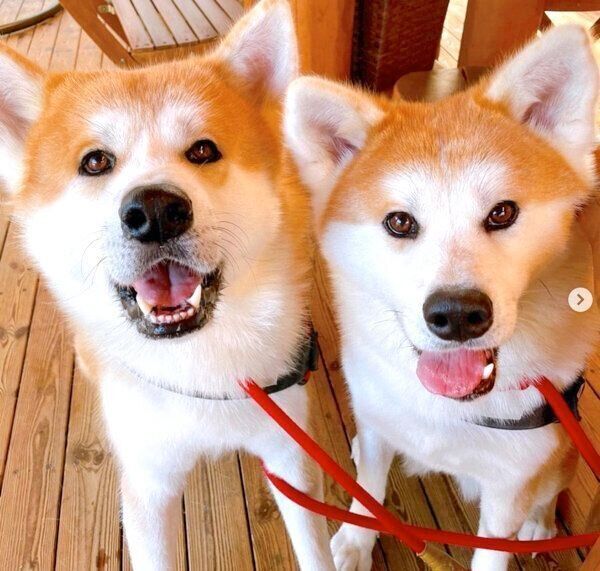 笑顔のよたろうくん、みつきちゃん