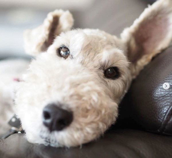 くつろぐこっぺぱんちゃん