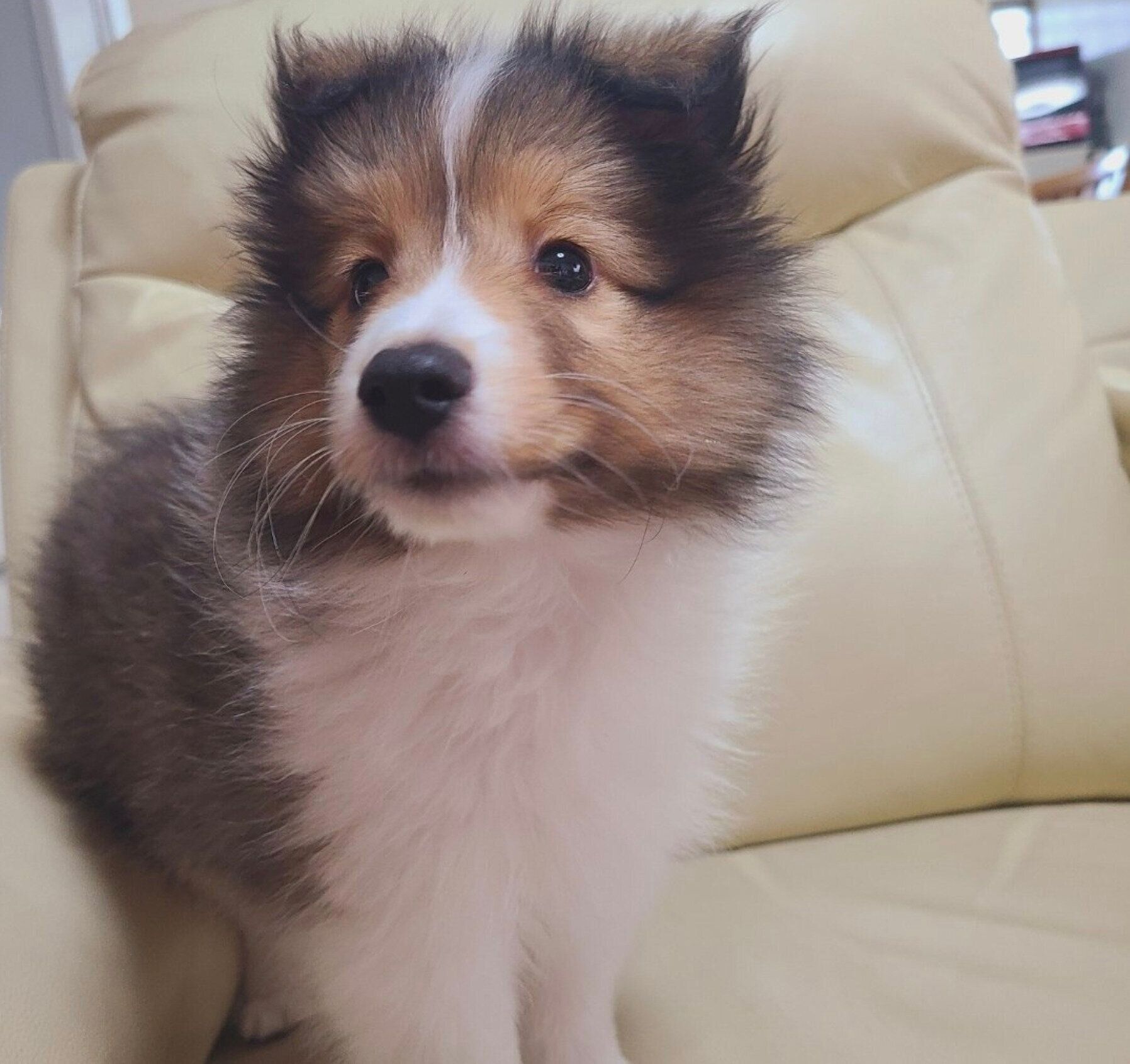 生後3カ月のレオくん