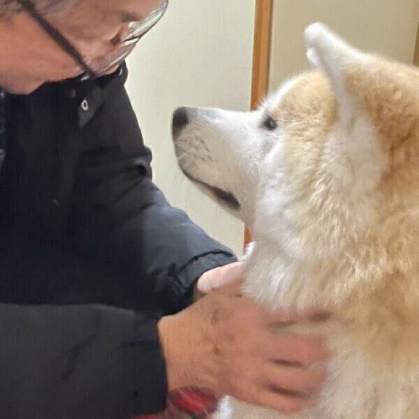 パパさんの帰宅を喜ぶももちゃん